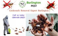 Pest Control Burlington image 7